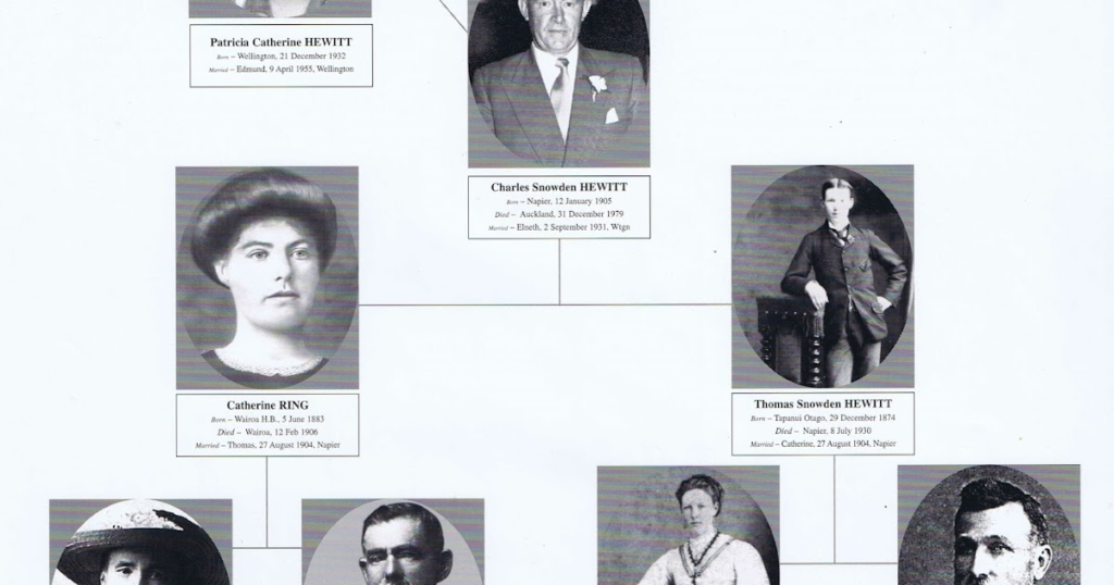 Herbert Daniel Hewitt's Place in the Hewitt Family Tree