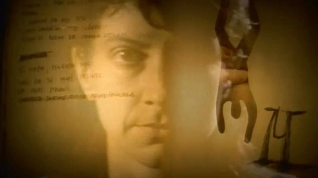 Black Kites: A Family Collaboration